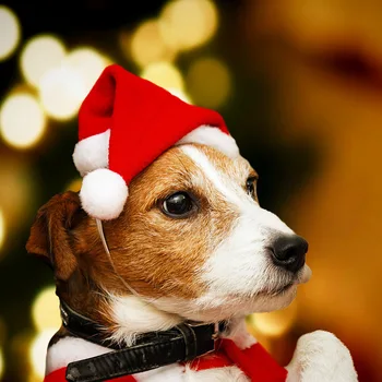 Рождественская маленькая Плюшевая шляпа Санты для домашних собак, Кошачья шляпа, Рождественские украшения для дома, шапка Ноэль Навидад, подарок на Новый год